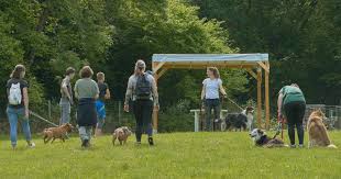 Photo Les Crozets. Testez le mantrailing au Wouf'Fun parc garderie