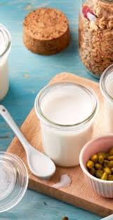 Veganer Kokosjoghurt Rezept Rezept Kokos Joghurt Rezepte Joghurt