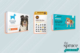 Watch more videos for more knowledge what percentage of dna do we share with dogs. The 4 Best Dog Dna Tests Of 2021
