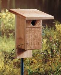 Cardinals are not cavity dwelling birds so a cardinal birdhouse is actually more like angstrom cardinal bird platform. 38 Free Birdhouse Plans Guide Patterns