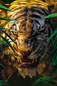 The Jungle Book Shere Khan Movie 5k Mobile Wallpaper Movie Jungle Book Shere Khan Movie Iphone Android In 2020 Jungle Book Jungle Book Disney Jungle Book 2016