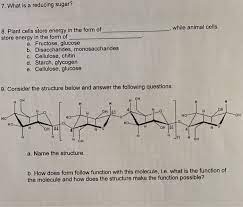 In animal cells, energy is produced from food (glucose) via a process of cellular respiration. 7 What Is A Reducing Sugar While Animal Cells 8 Chegg Com
