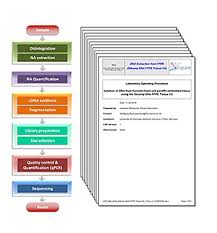 When you add this template to your process street account, you'll be able access our broad range of features to edit it to better suit your needs. Protocols And Sops Compare Europe