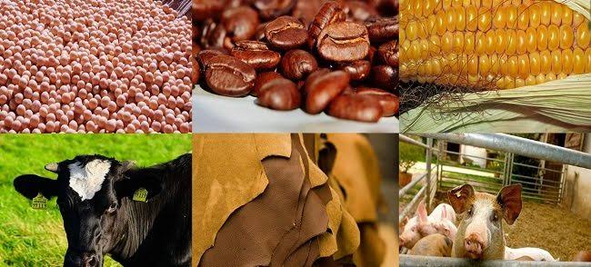 Fifteen agribusiness products account for a record index of 40% of total  exports — DC Logistics Brasil
