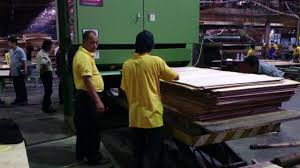 Check spelling or type a new query. Kjw Core Sander In Samling Plywood Plywood Machine Youtube