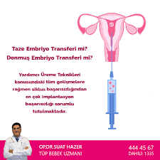 taze embriyo transferi mi donmus embriyo transferi mi doktorlar teknik bebek