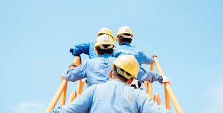 Liability insurance for tree surgeons. Tree Surgeon Insurance Tree Surgery Insurance Assetsure