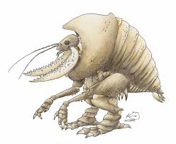 Image result for pinsir