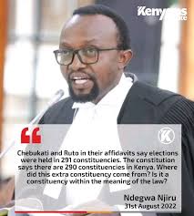 Someone tell this guy Diaspora votes are considered as 291st  constituency...Lawyer Ndegwa Njiru is hired by controversial Bishop John  Ngari Gakuyo who looted billions of money through Gakuyo real estate and  Ekeza
