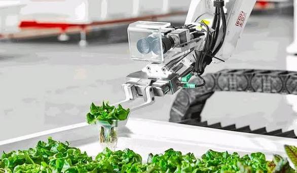 智慧農業的未來：機器人幫你種菜，生產現場就在你家廚房｜未來商務