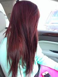2014 Dark Red Hair Color Ideas Beautiful Hair Color Plum Hair Dark Red Hair Color