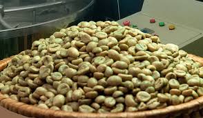 CUNG CẤP CÀ PHÊ NHÂN ROBUSTA GIÁ SỈ - MOTHERLAND COFFEE