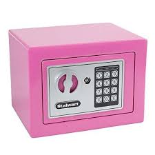If you plan to go a week or more without using your digital camera, it's important that you learn how to store your digital camera safely. Digital Security Safe Box For Valuables Compact Waterproof And Fireproof Steel Lock Box With Electronic Combination Keypad By Stalwart Pink Security Safe Security Safe Box Safe Box