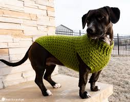 Since you'll want a sweater that fits your dog without being too loose buy enough yarn for your sweater. Dandy Dog Sweater Easy Crochet Dog Sweater Pattern