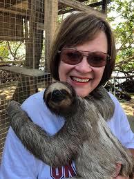 Daniel Johnson's Monkey and Sloth Hangout