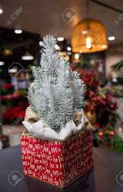 Maybe you would like to learn more about one of these? Pretty Evergreen Christmas Tree Without Decorations In A Large Pot Wrapped In Craft Sackcloth At The Greek Garden Shop Shop Christmas Decorations Gifts Stock Photo Picture And Royalty Free Image Image 142071606