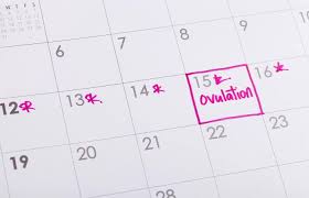 How To Make And Use An Ovulation Chart Lovetoknow