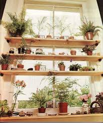 window shelf for plants