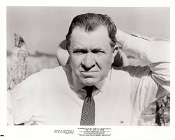 STUART ERWIN Actor 1960 Vintage Movie 8x10 Promo Photo FOR THE LOVE OF MIKE 