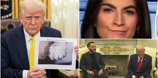 CNN Anchor Responds to Robert F. Kennedy Jr.'s Complaint About Covid Experts