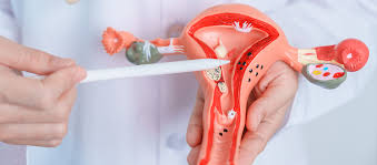 Image result for Ovulation