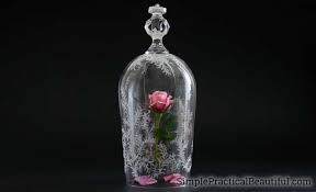Learning english for kids teaching best in 2020 rose coloring pages stained glass rose disney stained glass. Beauty And The Beast Rose And Glass Cloche Simple Practical Beautiful