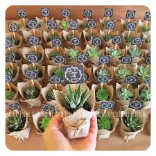 Mini Sukulent Mini Succulent Kaktus Cactus Wedding Favors Nikah Sekeri Nikah Hediyesi Cactus Wedding Favors Wedding Gift Favors Wedding Gifts For Guests