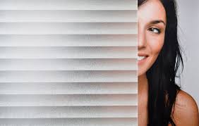 Decorative Films, LLC.: SX-3006 White Frosted Mini Blind