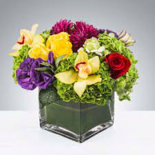 Check spelling or type a new query. Hydrangeas Delivery Staten Island Buds Florals