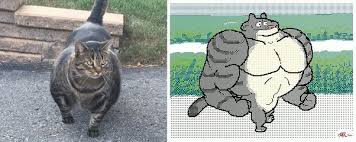 Favorite Tweet By Kekeflipnote Funny Animals Animal Memes Cute Animals