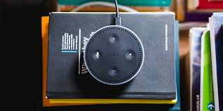 A primeira barba de um homem (ou o que a gente nunca mais esquece) a vergonha, a empolgação com os pelos, como tirar ou cuidar das primeiras penugens. Alexa Como Comprar A Inteligencia Artificial Em Portugal Alerta Trendy