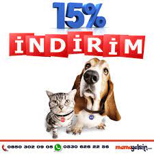 wildfield acana orijen nd go hills sanabelle ve now tahilsiz kedi kopek mamalarinda net 15 indirim firsati aralik ayi boyunca sizleri bekliyor gr