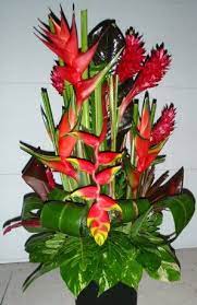 Hanging Heliconia Red Ginger Tropical Flower Arrangement Arranjos De Flores Tropicais Grandes Arranjos De Flores Arranjos De Flores Naturais