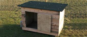 The house only needs to be about 6 feet above the ground, and should be mounted to a post that's protected by a thanks for the wood duck nesting box plans. A Cheap Chicken Or Duck House