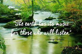chorus a natural beauty should be preserved like a monument to nature don't judge yourself too harsh my love or someday you might find your soul. 24 Of The Most Beautiful Quotes About Nature Nature Quotes Wonder Quotes Beautiful Quotes