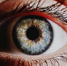 Augen sind rot live bei late night berlin am 28.10.19. Im Auge Schon Fruh Krebs Diabetes Und Alzheimer Erkennen Welt