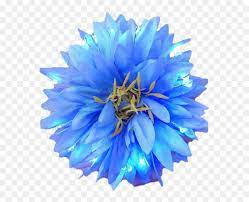 Light blue flowers transparent background. Real Blue Flowers Png Transparent Png Vhv