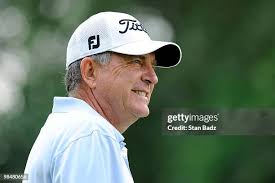 13,868 Florida Jay Stock Photos, High-Res Pictures, and Images