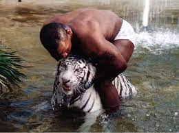 Mike tyson revealed his regret over owning three big tigers as pets admitting it was foolish as the two discussed the new netflix documentary 'tiger king', tyson said on instagram live: Tiger King Why Mike Tyson Regrets His Past Owning Exotic Animals The Independent The Independent