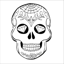 We did not find results for: Dessiner Un Crane Mexicain Blog Dessindigo