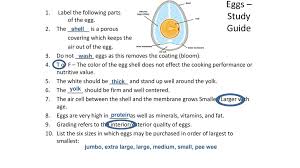 Jan 16, 2014 · herndon, va., jan. Eggs What Do I Need To Know About Eggs Related To Selection Nutrition And Cooking Methods Ppt Download