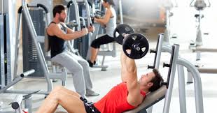 We did not find results for: Krachttraining Voor Beginners 13 Apparaten Uit De Sportschool Uitgelegd