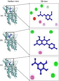 Image result for Antrophyum mannianum