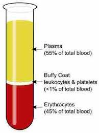 Unsur kimiawi non organik tersusun atas air, mineral, dan vitamin. Komponen Penyusun Darah Manusia Plasma Darah Sel Darah Merah Dan Sel Darah Putih Your Chemistry A