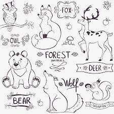 Illustration Set Of Cute Animals Of The Forest With Design Names Animal Drawings Animal Silhouette Forest Drawing