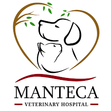 Maybe you would like to learn more about one of these? Home Manteca Veterinary Hospital