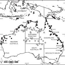 Image result for Cucumis aetheocarpus