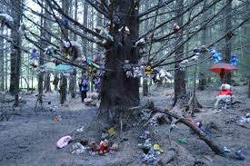 Looking to download safe free latest software now. Cursed Images Cursedimages Twitter