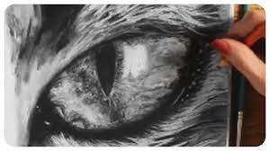 Draw the eyes with their bottom parts slightly hidden behind the cheeks with almond like shapes pointing towards the nose. How To Draw A Cat Eye Youtube