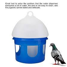 You'll find a wide selection of bird at catch! Jeffergarden Large Capacity Automatic Bird Pigeon Feeder Water Dispenser Waterer For Pet Bird Pigeon Parrots Cage Buy Online In Bosnia And Herzegovina At Bosnia Desertcart Com Productid 149182217